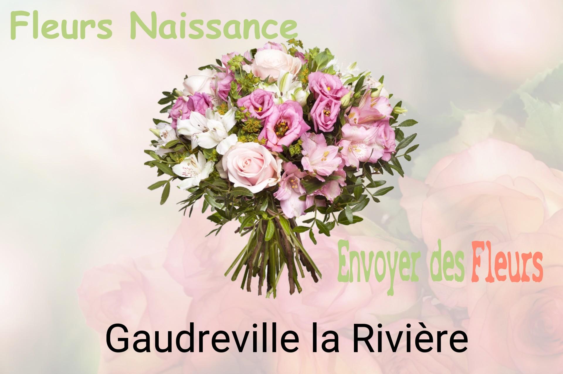 Bouquet de fleurs de naissance livré à Gaudreville-la-Rivière