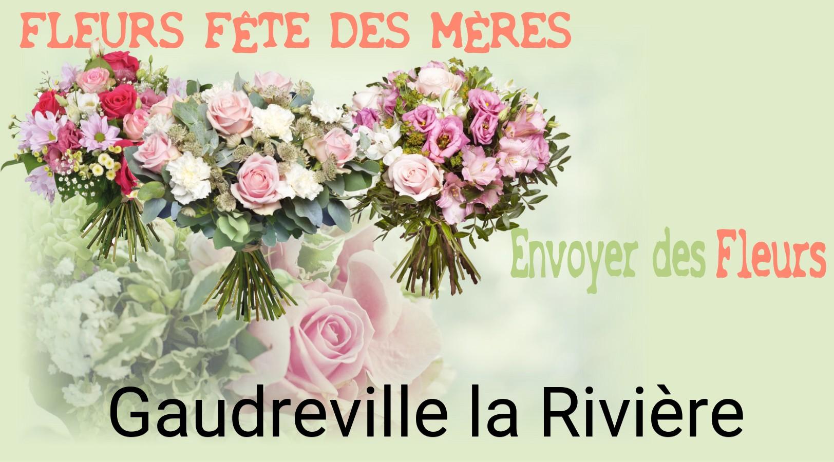 Bouquet de Fête des Mères livré à Gaudreville-la-Rivière